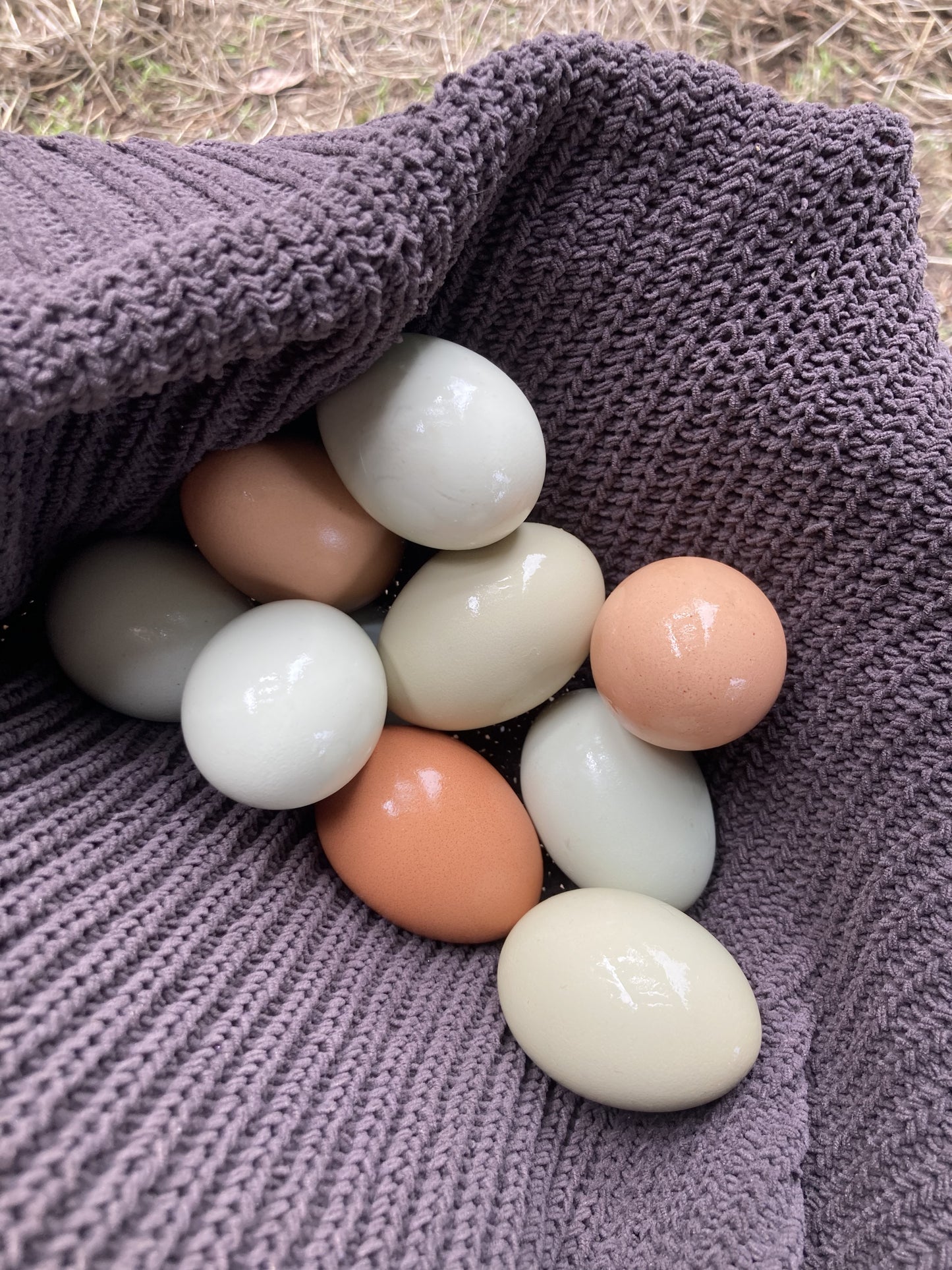 Flower Girl Eggs (1/2 dozen)